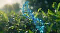plant dna spiral on the background of nature Royalty Free Stock Photo