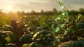 plant dna spiral on the background of nature Royalty Free Stock Photo