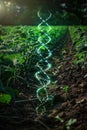 plant dna spiral on the background of nature Royalty Free Stock Photo
