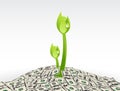 Plant and dollars, Plant growing from the money vector stock illustration Royalty Free Stock Photo