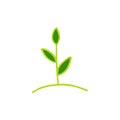 Plant doodle icon, vector illustration Royalty Free Stock Photo