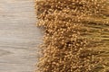 Plant dry flax on wooden boards, a bunch of flax, a lot of dry plants Royalty Free Stock Photo