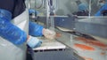 Plant employee is cutting off fillets of cartilaginous fish