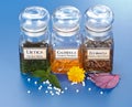 Plant extract in bottles and homeopathic granules Royalty Free Stock Photo