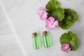 Plant Extract and Geraniums Flat Lay