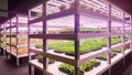 Plant factory Vertical agriculture greenhouse led Plant Growth Lamp Royalty Free Stock Photo