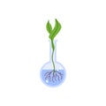 Plant in flask for genetics and bioengineering, vector illustration isolated.
