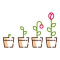 Plant flower growth process line icons vector.