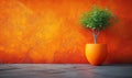 Plant in a flower pot against an orange wall. Royalty Free Stock Photo