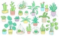 Plant flower potted cartoon color flat line set Royalty Free Stock Photo