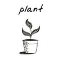 Plant flowerpot handdrawn icon. Cute cartoon vector illustration of a plant with three leaves growing in a pot. Outlined