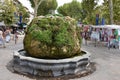 Plant Fountain in Aix en Provence