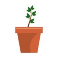 Plant garden pot icon Royalty Free Stock Photo