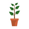 Plant garden pot icon Royalty Free Stock Photo