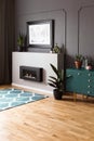 Plant on green cupboard in spacious grey living room interior with poster above fireplace Royalty Free Stock Photo