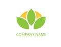 Plant green leaf logo design sun