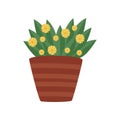 Plant with green leaves and yellow flowers in ceramic pot. Natural home decor element. Gardening theme. Flat vector icon Royalty Free Stock Photo