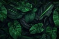 nature wallpaper forest tropical green tree jungle palm leaf colourful background. Generative AI. Royalty Free Stock Photo