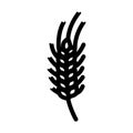 plant green wheat line icon vector illustration