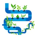 Plant grow in agriculture pipe for water, vector illustration. Vegetable sprout in hydroponics gardening system, growing