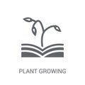 plant growing on book icon. Trendy plant growing on book logo co Royalty Free Stock Photo