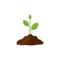 Plant growing in brown ground vector illustration isolated on white