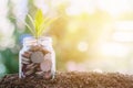 Plant growing from coins in the glass jar against blurred natural green background Royalty Free Stock Photo