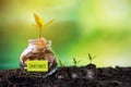 Plant growing in Coins glass jar on dry with investment paper label for money planning travel and retirement.