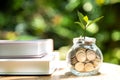 Plant growing in Coins glass jar for education together and success.