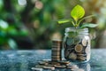 Plant growing from coins in a glass jar