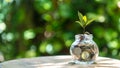 Plant growing in Coins glass jar for investment go to Travel Retire Saving Royalty Free Stock Photo