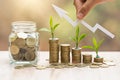 Plant growing in Coins glass jar for money saving and investment financial, concept for business, innovation, growth and money Royalty Free Stock Photo