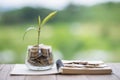 Plant growing in Coins glass jar for money saving and investment financial, concept for business, innovation, growth and money Royalty Free Stock Photo