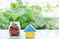 Plant growing from coins in the glass jar and paper house origami on blurred green natural background Royalty Free Stock Photo