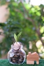 Plant growing from coins in glass jar. Wooden house model on artificial grass. Home mortgage and property investment concept Royalty Free Stock Photo