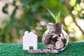 Plant growing from coins in glass jar. Wooden house model on artificial grass. Home mortgage and property investment concept Royalty Free Stock Photo