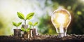 plant growing on coins and light bulb. concept saving money Royalty Free Stock Photo