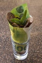 Plant growing from coins and one hundred euro banknote Royalty Free Stock Photo
