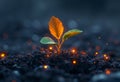 A plant growing in the dirt. A resilient plant sprouts from the ground in the dark