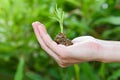 Plant growing on hand - soil in hand with green young plant growing agriculture and seeding the morning Royalty Free Stock Photo