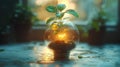 Plant is growing inside a glass globe Royalty Free Stock Photo