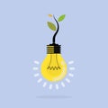 Plant growing inside the light bulb.Green eco energy concept.Tree of Knowledge concept. Education and business sign. Vector illus Royalty Free Stock Photo