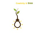 Plant growing inside the light bulb.Green eco energy concept. Royalty Free Stock Photo