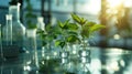 plant growing in labware on glass