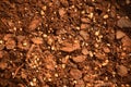 Organic Compost Mix