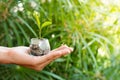 Plant growing from money coins in the glass jar held by a man`s hands Royalty Free Stock Photo