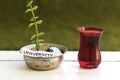 plant growing out of algeria coins in silver bowl ,university money saving concept and drinking an arabic tea. Royalty Free Stock Photo