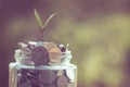 plant growing out of coins Royalty Free Stock Photo