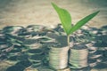 Plant growing out of coins Royalty Free Stock Photo