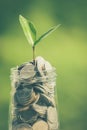 Plant growing out of coins Royalty Free Stock Photo